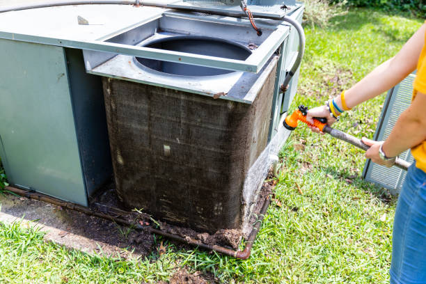 Best Local Air Duct Cleaning Services  in Williamsport, PA