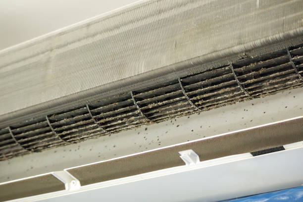 Best Professional Duct Cleaning Services  in Williamsport, PA